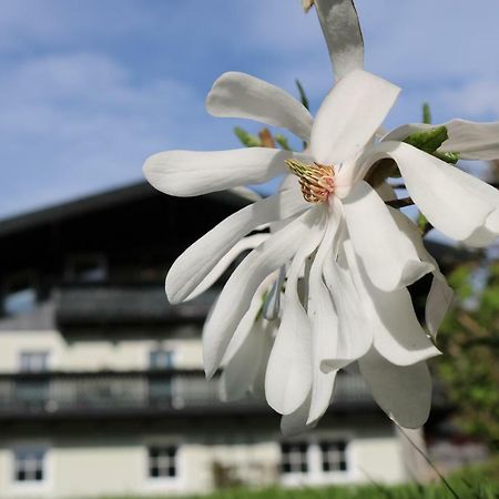Haus Brandstatter Apartment Eben Im Pongau Bagian luar foto