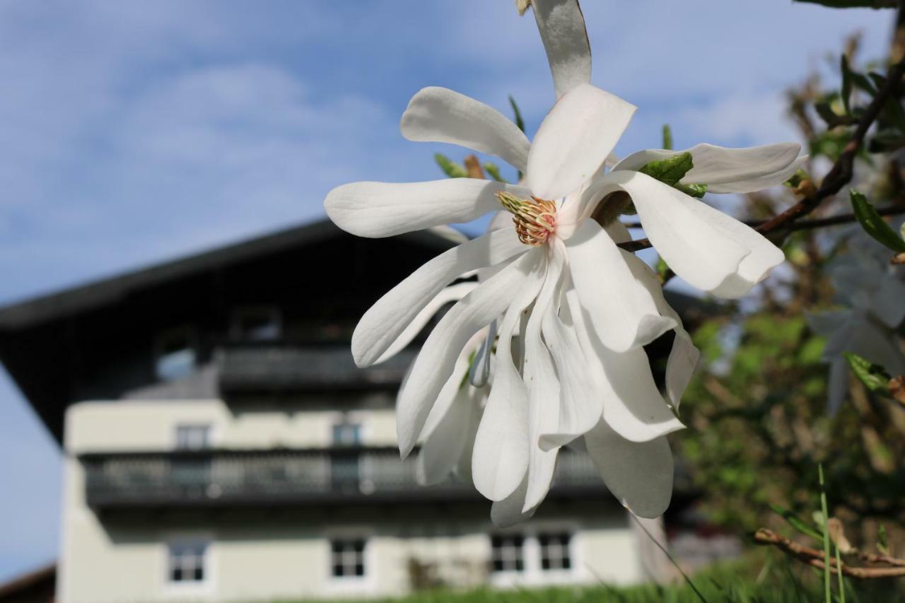 Haus Brandstatter Apartment Eben Im Pongau Bagian luar foto